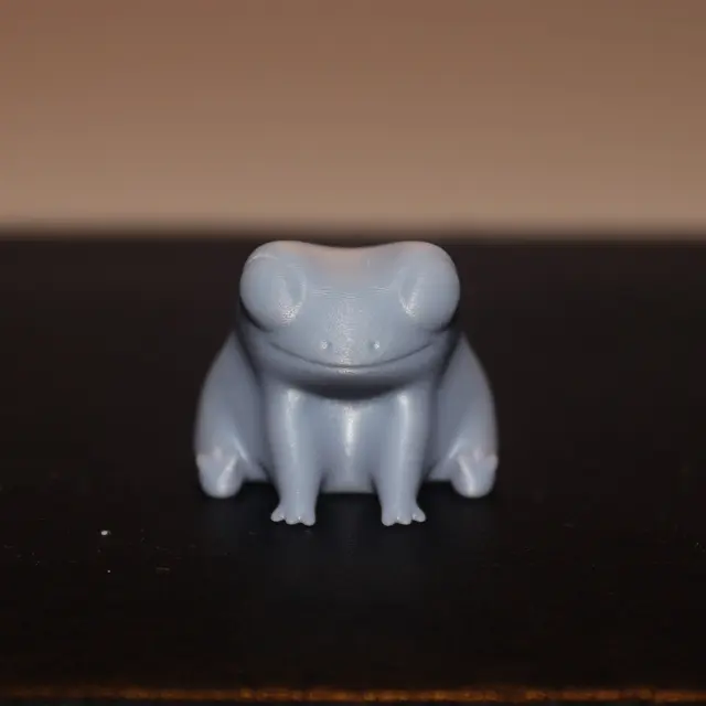 Lavoro realizzato da Fusion3DPrinting